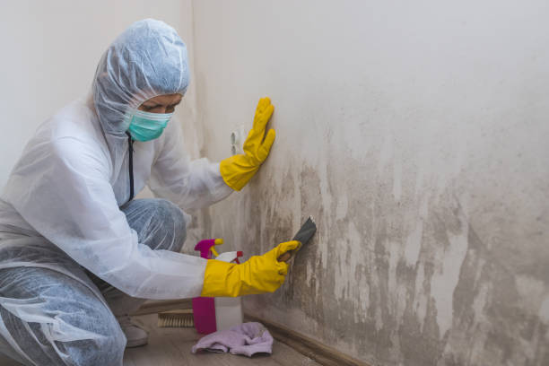 Best Residential Mold Removal  in Short Hills, NJ