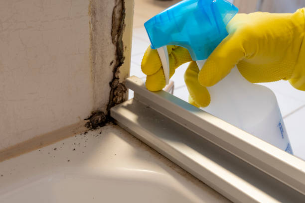Best Emergency Mold Removal  in Short Hills, NJ