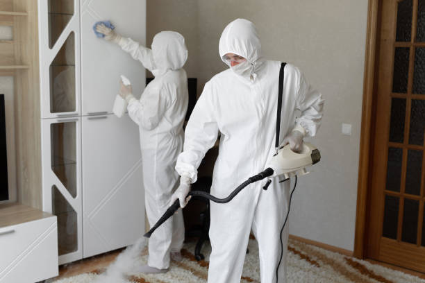 Best Toxic Mold Removal  in Short Hills, NJ
